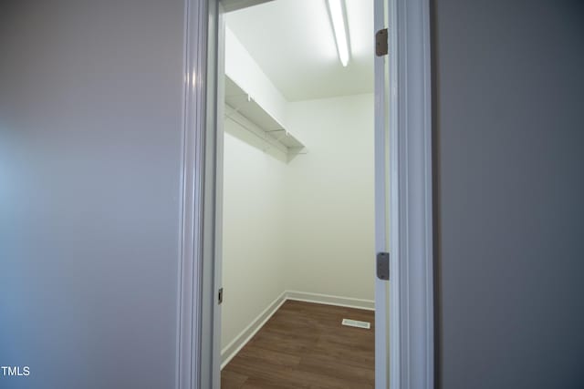 walk in closet featuring dark hardwood / wood-style flooring