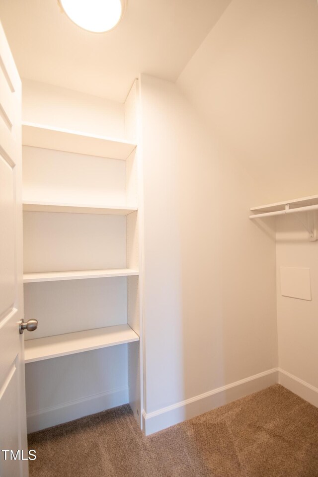 spacious closet with carpet floors