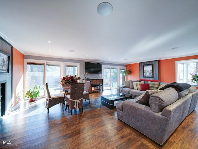 living room with dark hardwood / wood-style floors, ornamental molding, and a fireplace