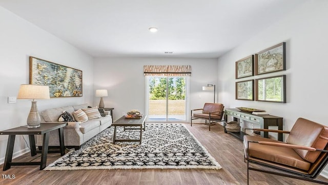 living room with wood-type flooring