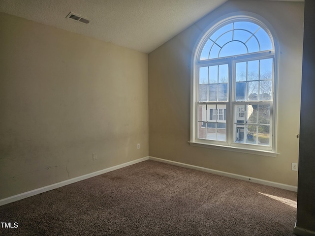 carpeted empty room with a textured ceiling and vaulted ceiling