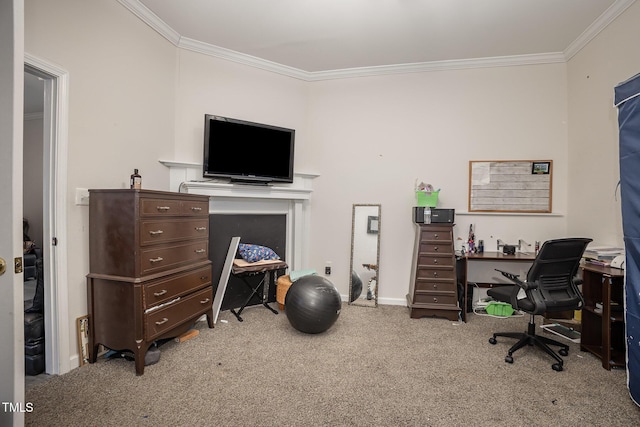 carpeted home office with crown molding