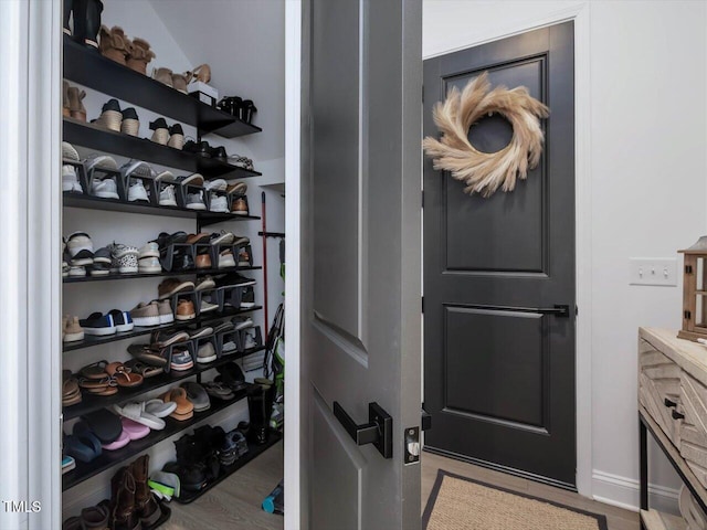 spacious closet with hardwood / wood-style floors