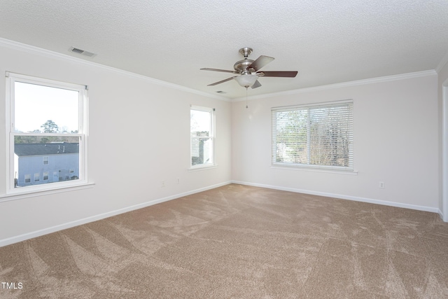 carpeted spare room featuring ceiling fan, crown molding, and a textured ceiling