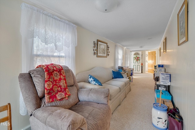 living room featuring carpet flooring