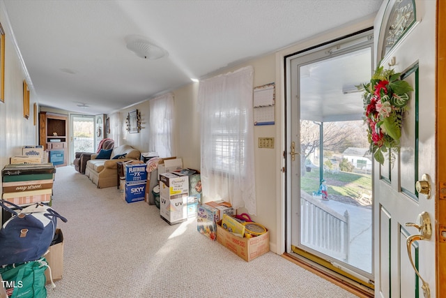 interior space featuring carpet flooring