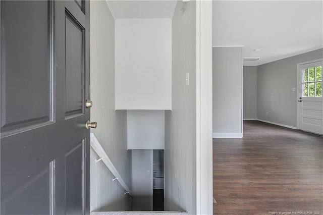 stairs with hardwood / wood-style floors