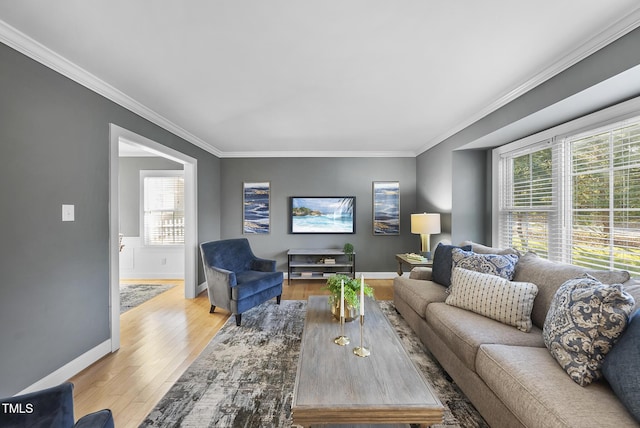 living room with light hardwood / wood-style floors and crown molding