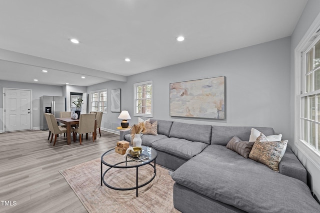 living room featuring light hardwood / wood-style flooring