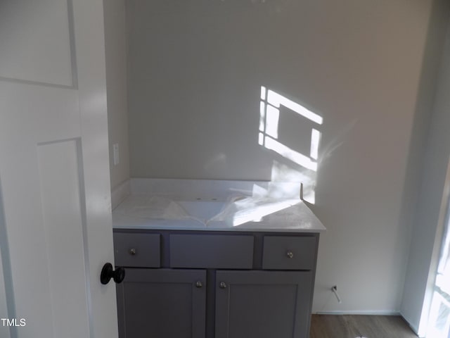 bathroom featuring wood-type flooring