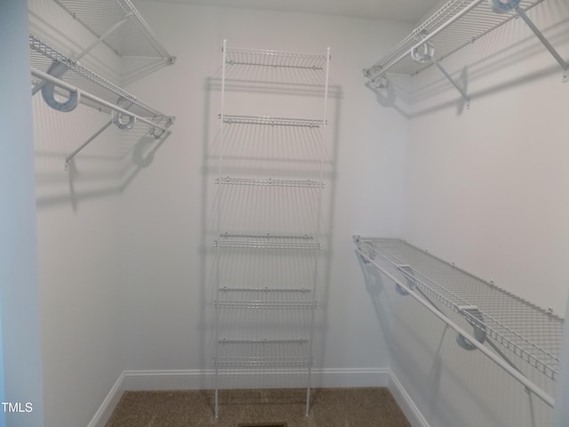 104 Halifax Rd, Louisburg, NC 27549 - walk in closet with carpet floors