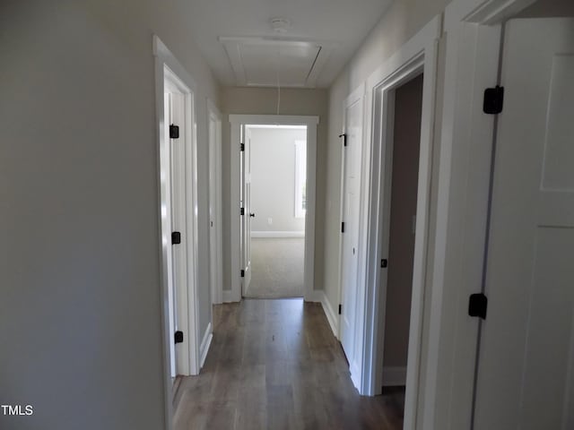 104 Halifax Rd, Louisburg, NC 27549 - hallway featuring attic access, wood finished floors, and baseboards