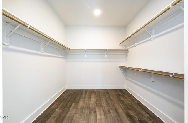 spacious closet with dark wood-type flooring