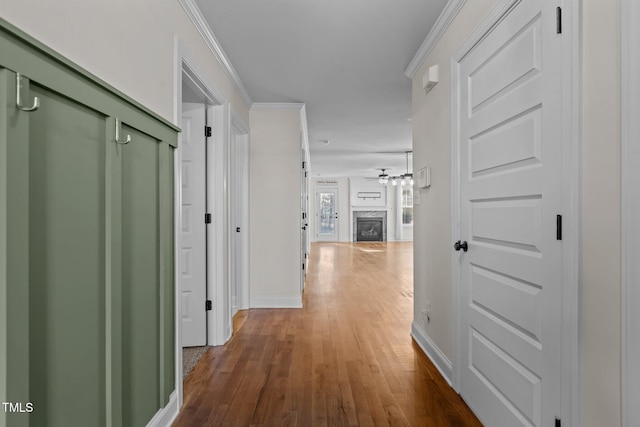 corridor with crown molding and dark hardwood / wood-style floors