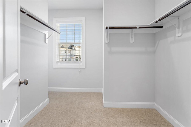 spacious closet with light carpet