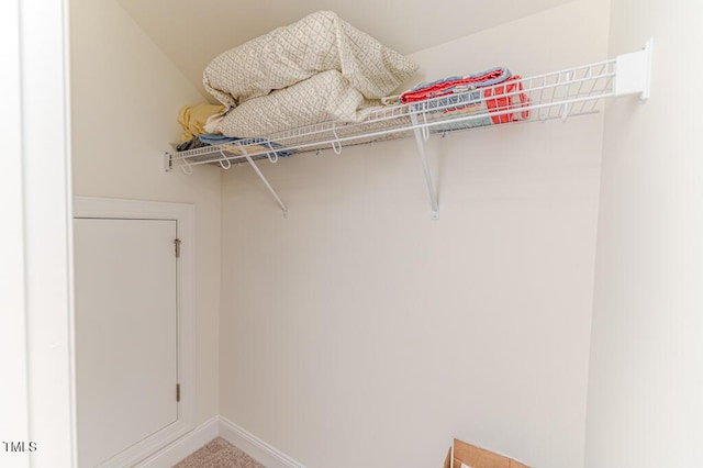 walk in closet featuring carpet flooring