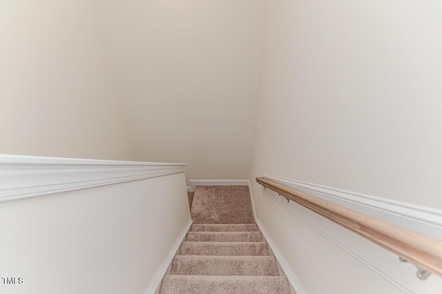 stairs with carpet floors