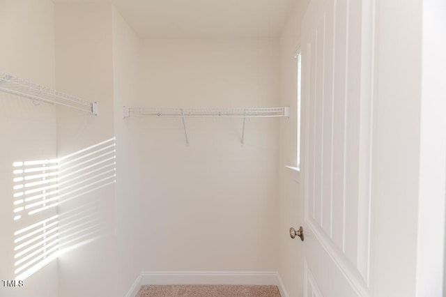 walk in closet featuring carpet floors