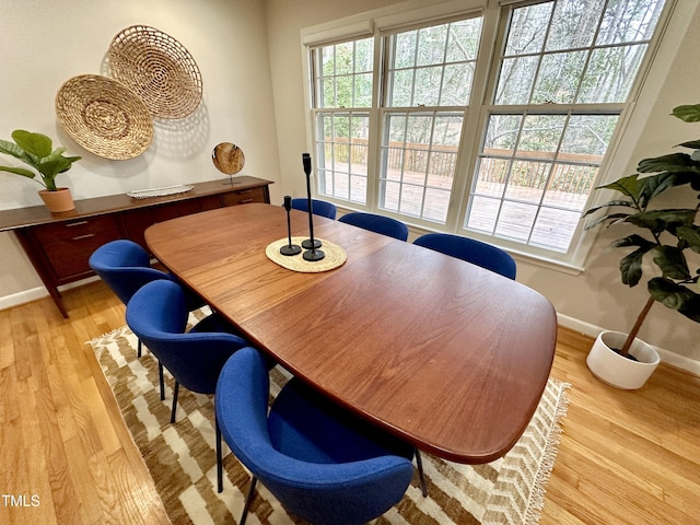 office featuring baseboards, a wealth of natural light, and light wood-style floors