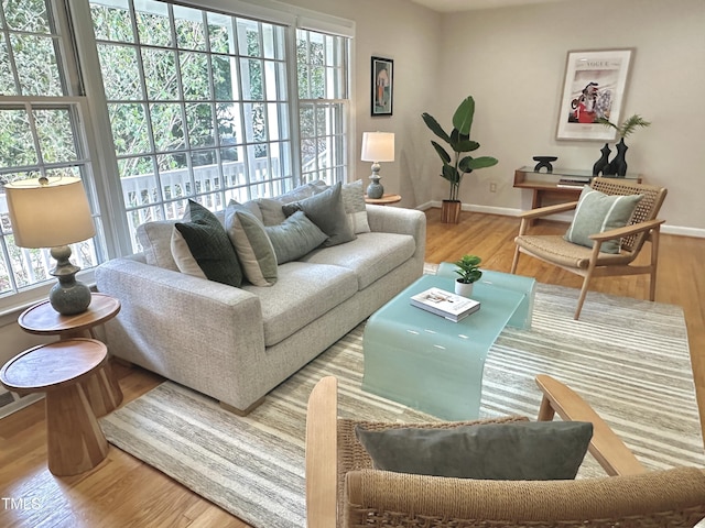 living room with baseboards, wood finished floors, and a healthy amount of sunlight