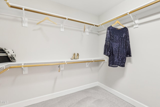 walk in closet featuring carpet floors