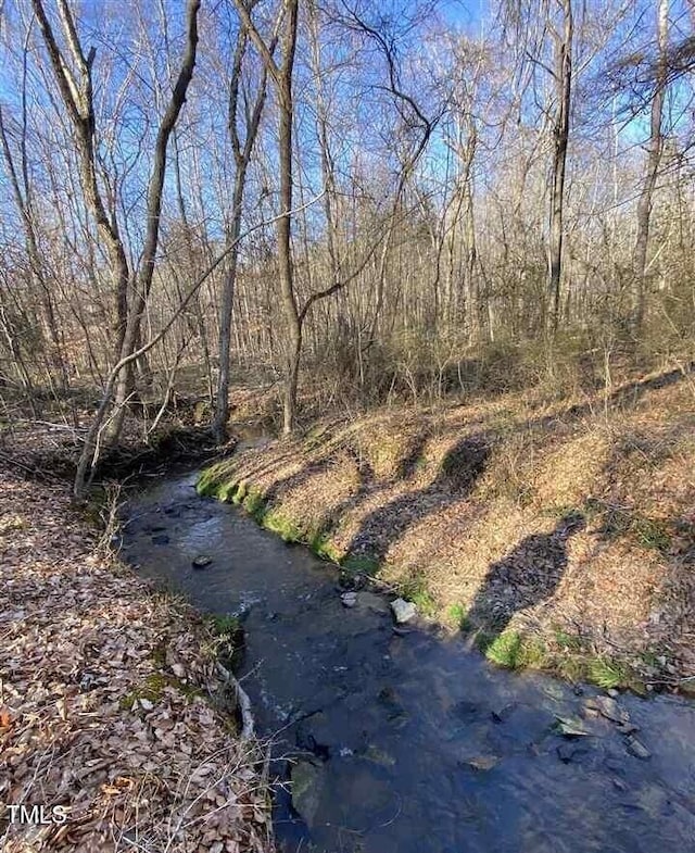 13ACRES Rolling Creek Dr, Roxboro, NC 27574 - photo 2