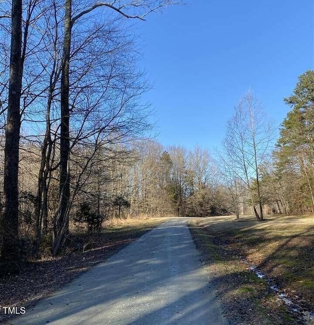 13ACRES Rolling Creek Dr, Roxboro, NC 27574 - photo 5