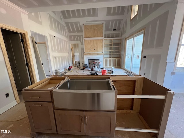 kitchen with light brown cabinetry and a healthy amount of sunlight