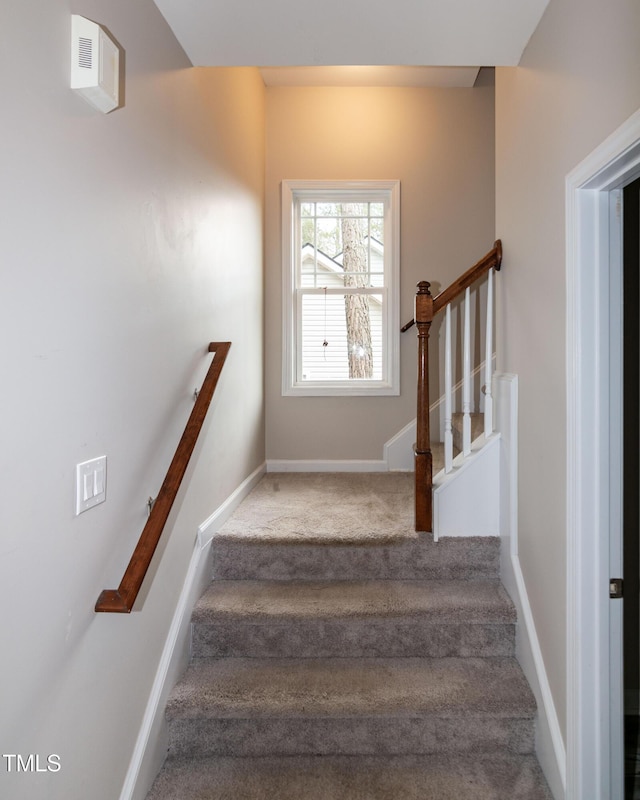 stairway featuring carpet floors