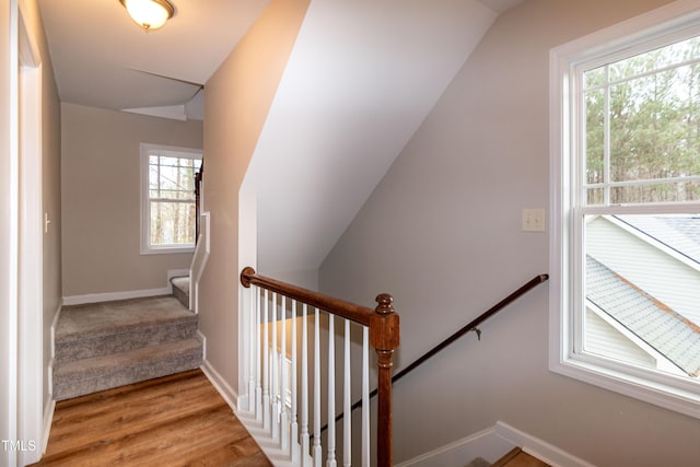 staircase featuring wood-type flooring and vaulted ceiling