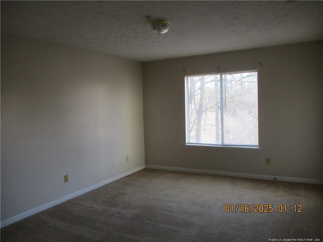 spare room featuring carpet floors