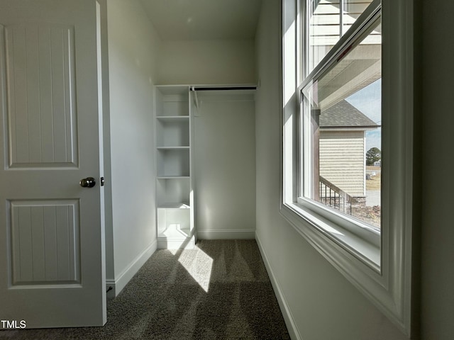 spacious closet with carpet floors