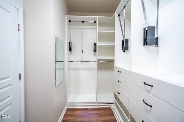 walk in closet with dark hardwood / wood-style floors