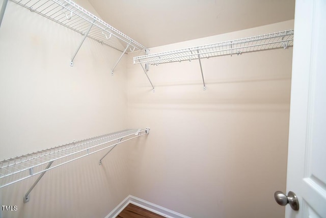 view of walk in closet