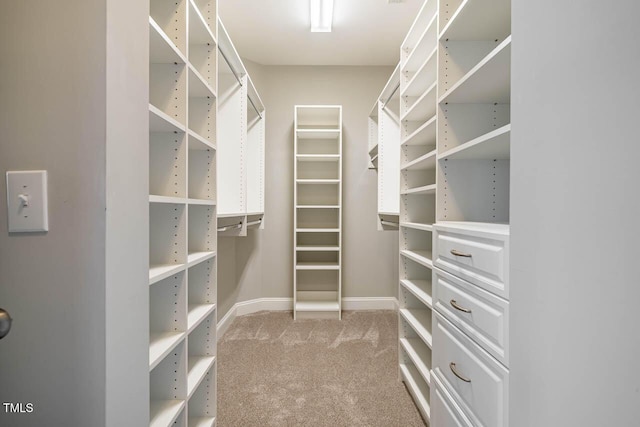 walk in closet with light colored carpet