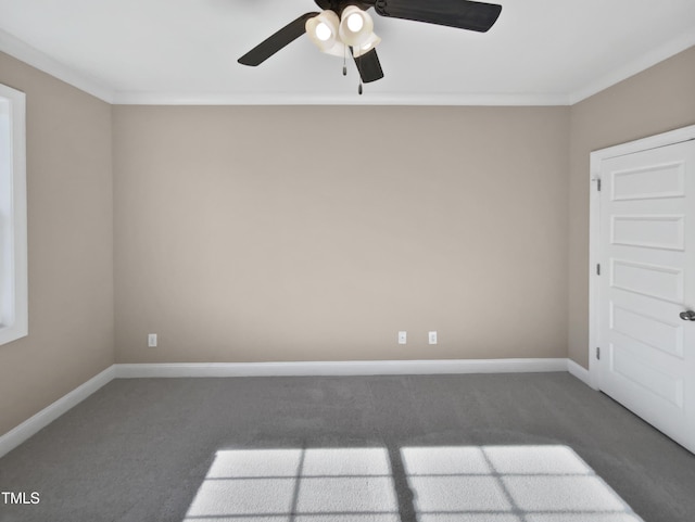 unfurnished room featuring ceiling fan, dark carpet, and ornamental molding