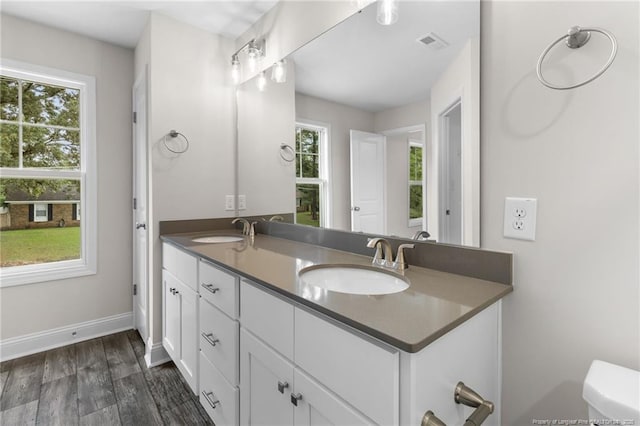 bathroom with a healthy amount of sunlight, vanity, and wood-type flooring