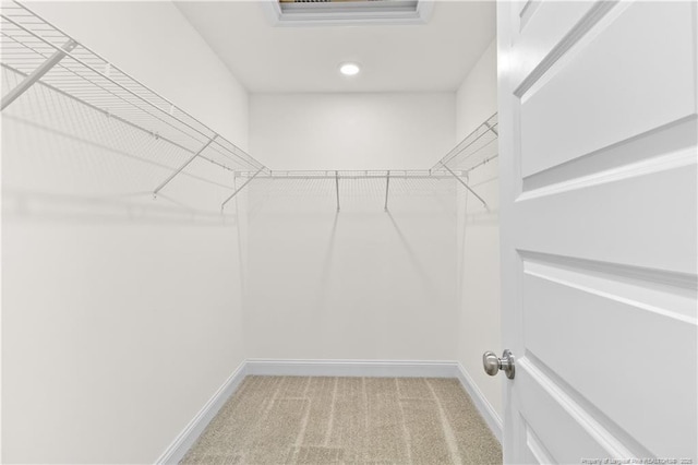 spacious closet featuring carpet flooring