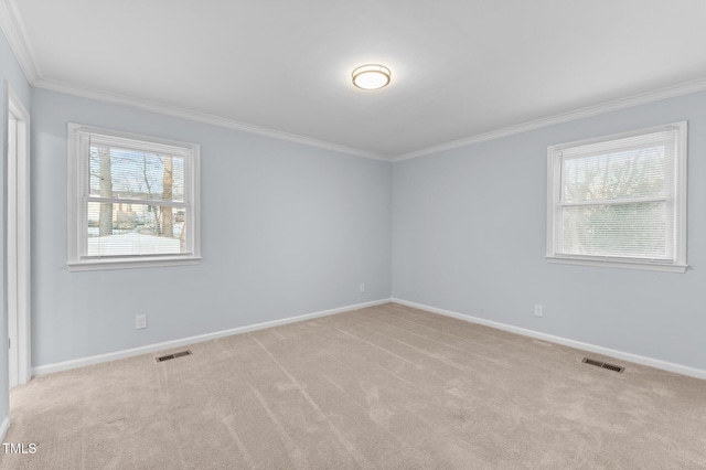 empty room featuring light colored carpet and ornamental molding