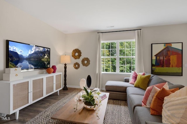 living room with dark hardwood / wood-style floors