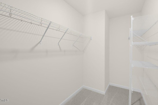 walk in closet featuring light carpet