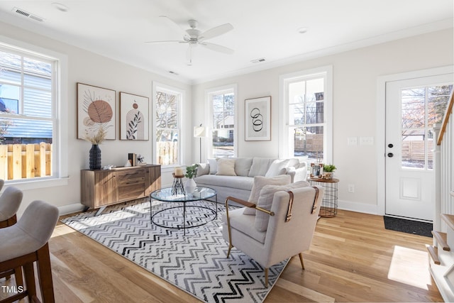 living room with ceiling fan, light hardwood / wood-style floors, and crown molding