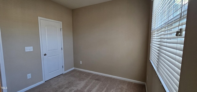 spare room featuring carpet