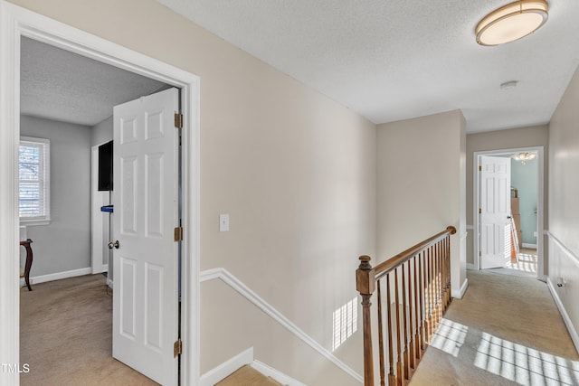 hallway with plenty of natural light and light carpet