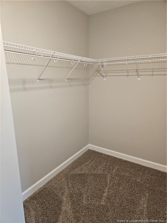 walk in closet with carpet flooring