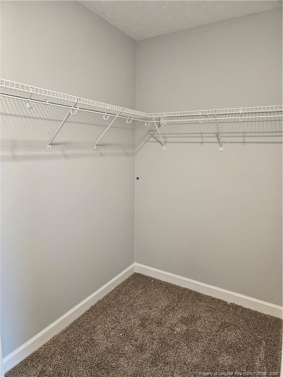 walk in closet with carpet