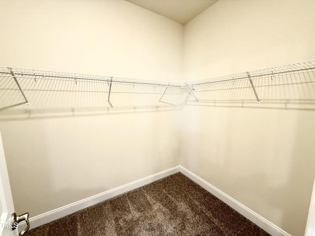 spacious closet with carpet flooring