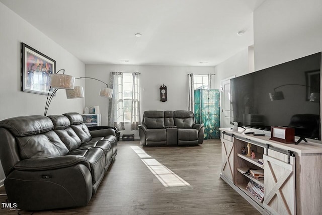 living room featuring hardwood / wood-style flooring