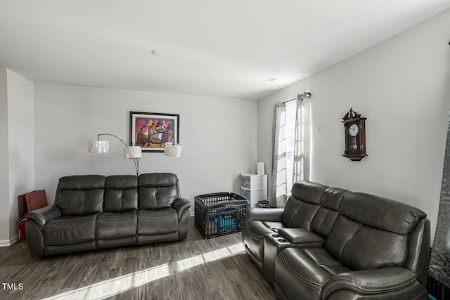 living room featuring hardwood / wood-style flooring