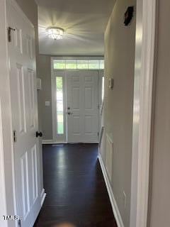 entrance foyer featuring dark hardwood / wood-style flooring